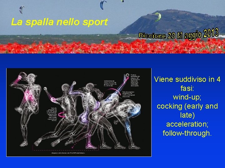 La spalla nello sport Viene suddiviso in 4 fasi: wind-up; cocking (early and late)