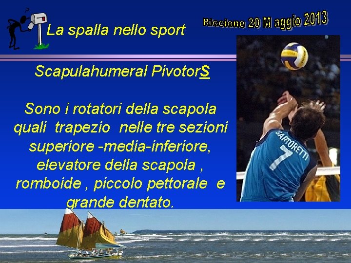 La spalla nello sport Scapulahumeral Pivotor. S Sono i rotatori della scapola quali trapezio