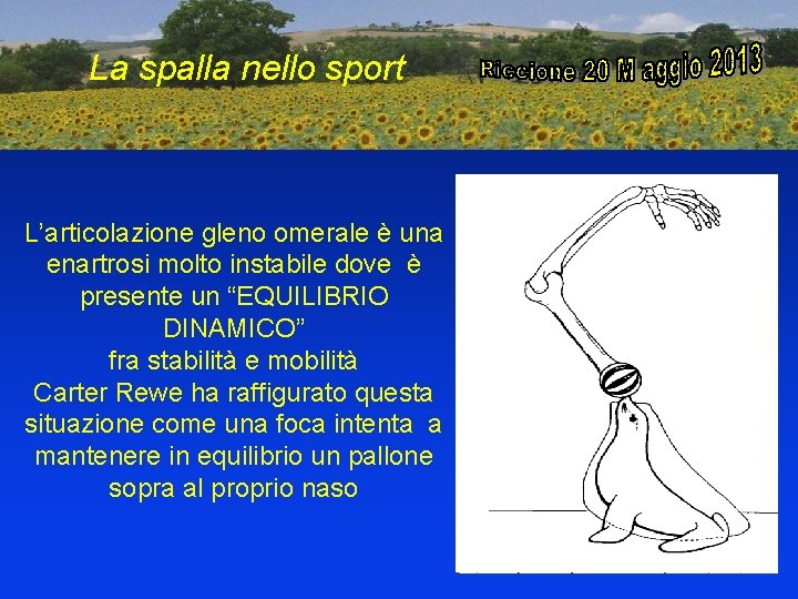 La spalla nello sport L’articolazione gleno omerale è una enartrosi molto instabile dove è