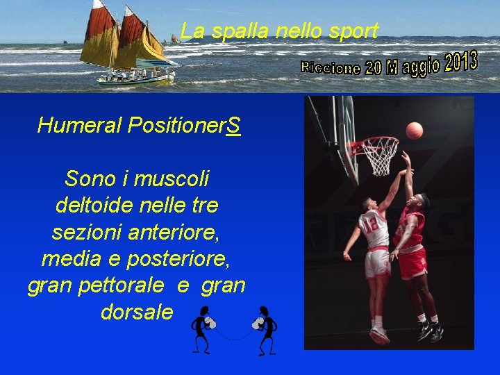 La spalla nello sport Humeral Positioner. S Sono i muscoli deltoide nelle tre sezioni