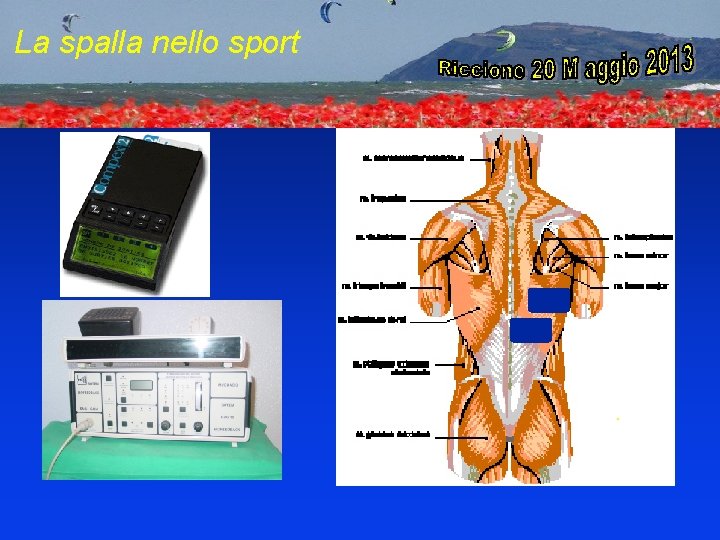 La spalla nello sport . 