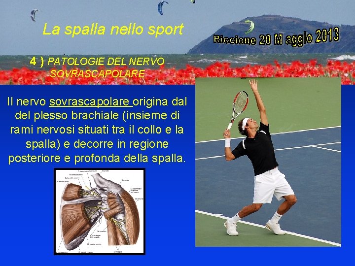 La spalla nello sport 4 ) PATOLOGIE DEL NERVO SOVRASCAPOLARE Il nervo sovrascapolare origina