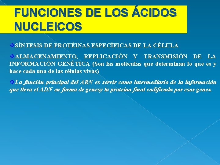 FUNCIONES DE LOS ÁCIDOS NUCLEICOS v. SÍNTESIS DE PROTÉINAS ESPECÍFICAS DE LA CÉLULA v.