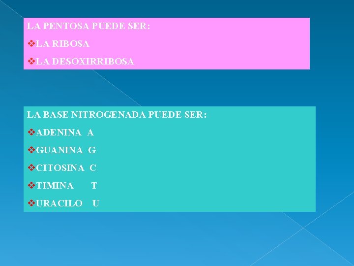 LA PENTOSA PUEDE SER: v. LA RIBOSA v. LA DESOXIRRIBOSA LA BASE NITROGENADA PUEDE