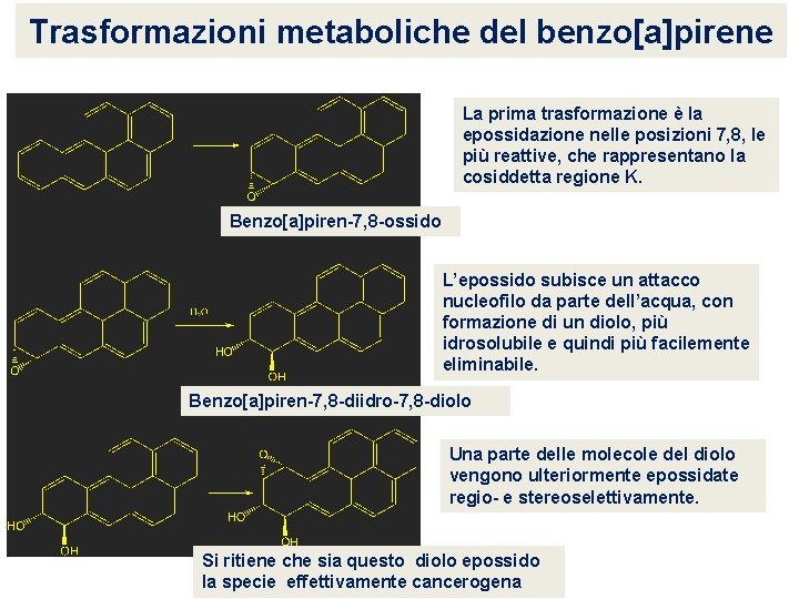 Trasformazioni metaboliche del benzo[a]pirene La prima trasformazione è la epossidazione nelle posizioni 7, 8,