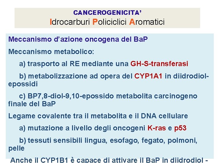 CANCEROGENICITA’ Idrocarburi Policiclici Aromatici Meccanismo d’azione oncogena del Ba. P Meccanismo metabolico: a) trasporto