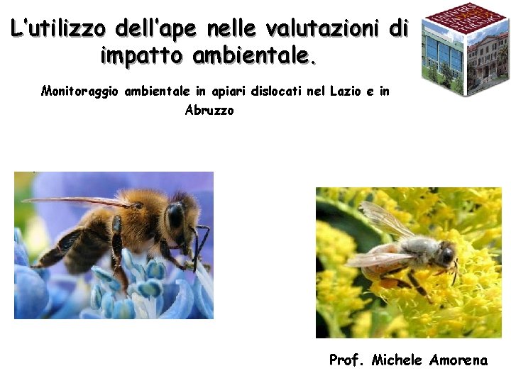 L’utilizzo dell’ape nelle valutazioni di impatto ambientale. Monitoraggio ambientale in apiari dislocati nel Lazio