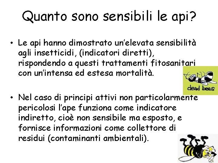 Quanto sono sensibili le api? • Le api hanno dimostrato un’elevata sensibilità agli insetticidi,