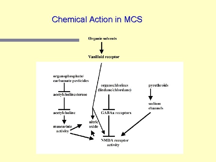 Chemical Action in MCS 