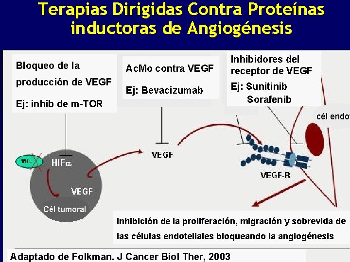 Terapias Dirigidas Contra Proteínas inductoras de Angiogénesis Bloqueo de la producción de VEGF Ac.