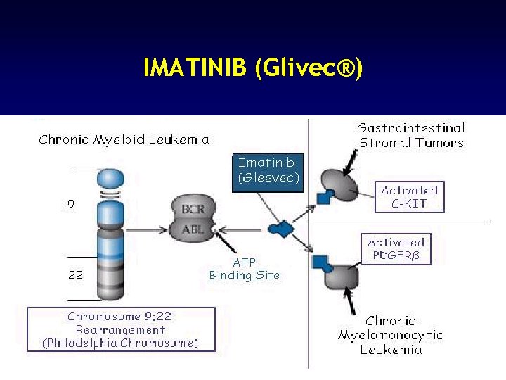 IMATINIB (Glivec®) 