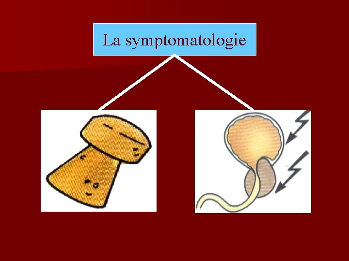 La symptomatologie 