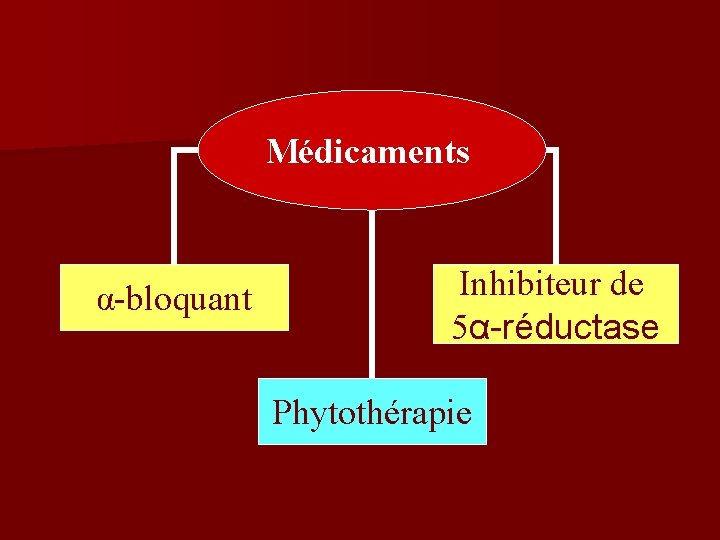 Médicaments α-bloquant Inhibiteur de 5α-réductase Phytothérapie 