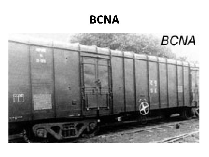 BCNA 