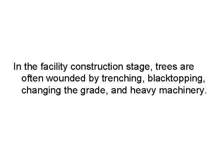 In the facility construction stage, trees are often wounded by trenching, blacktopping, changing the