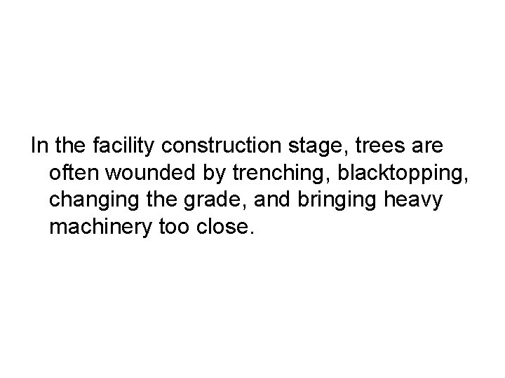 In the facility construction stage, trees are often wounded by trenching, blacktopping, changing the
