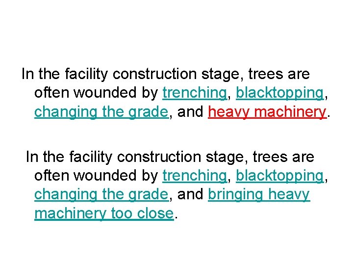 In the facility construction stage, trees are often wounded by trenching, blacktopping, changing the