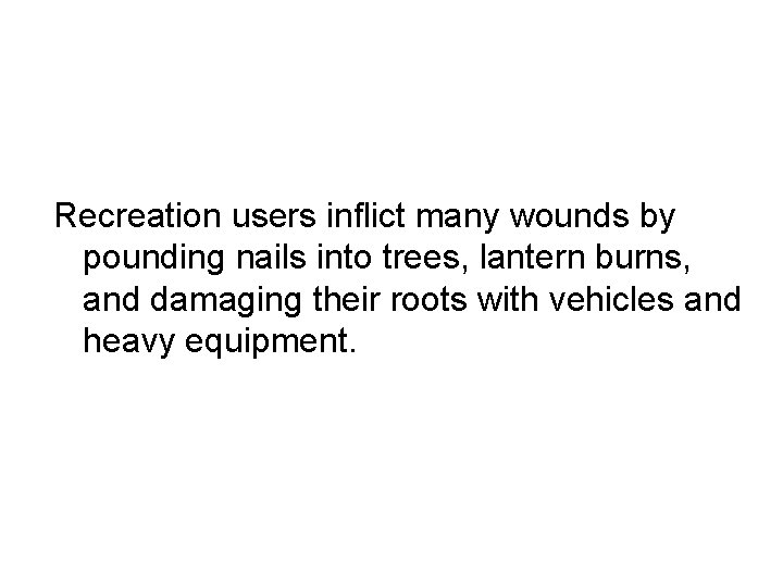 Recreation users inflict many wounds by pounding nails into trees, lantern burns, and damaging