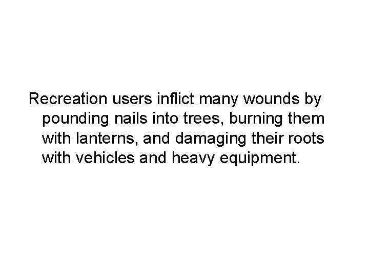 Recreation users inflict many wounds by pounding nails into trees, burning them with lanterns,