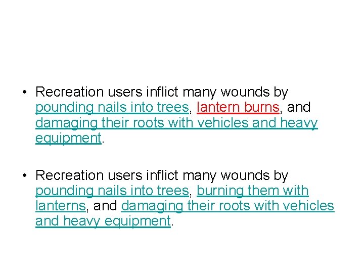  • Recreation users inflict many wounds by pounding nails into trees, lantern burns,