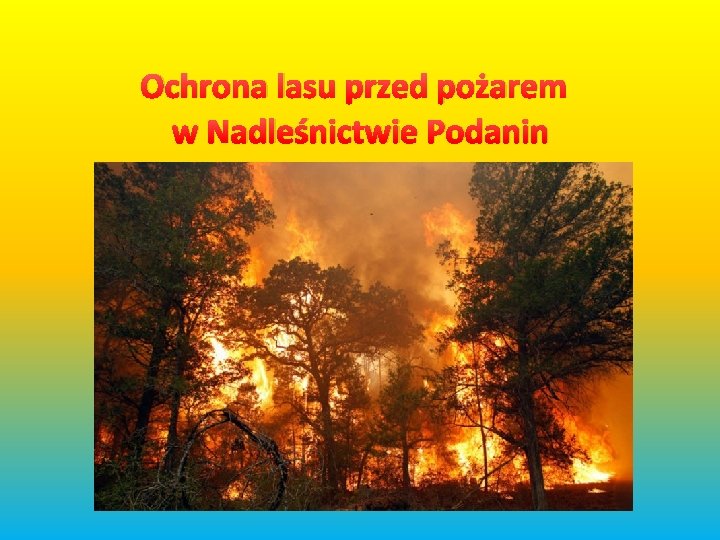  Ochrona lasu przed pożarem w Nadleśnictwie Podanin 