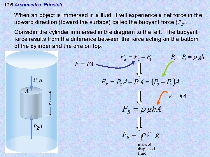 11. 6 Archimedes’ Principle When an object is immersed in a fluid, it will 11. 6 Archimedes’ Principle When an object is immersed in a fluid, it will