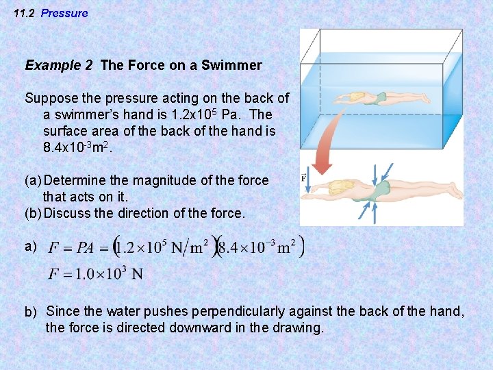 11. 2 Pressure Example 2 The Force on a Swimmer Suppose the pressure acting 11. 2 Pressure Example 2 The Force on a Swimmer Suppose the pressure acting