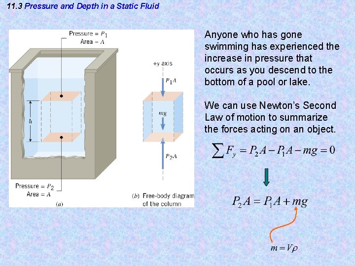 11. 3 Pressure and Depth in a Static Fluid Anyone who has gone swimming 11. 3 Pressure and Depth in a Static Fluid Anyone who has gone swimming