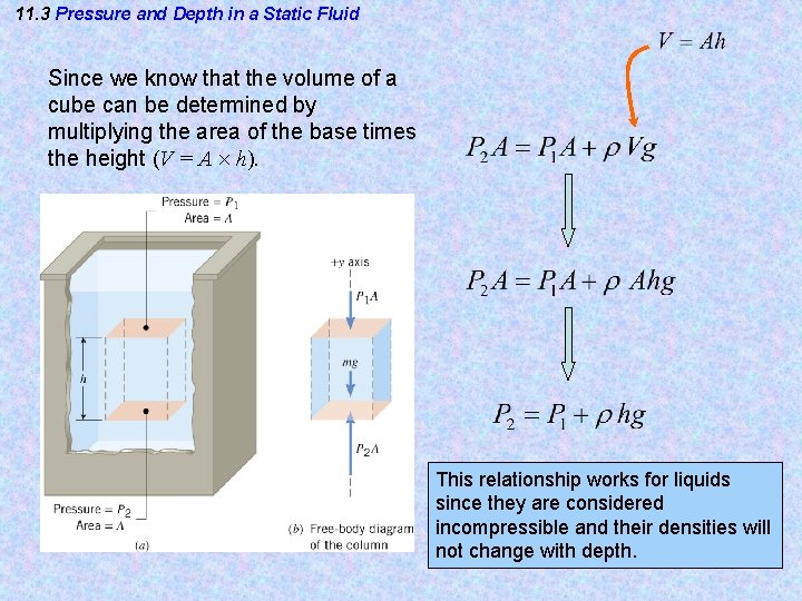 11. 3 Pressure and Depth in a Static Fluid Since we know that the 11. 3 Pressure and Depth in a Static Fluid Since we know that the