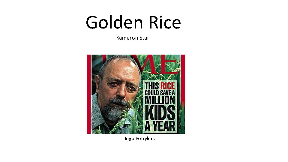 Golden Rice Kameron Starr Ingo Potrykus 