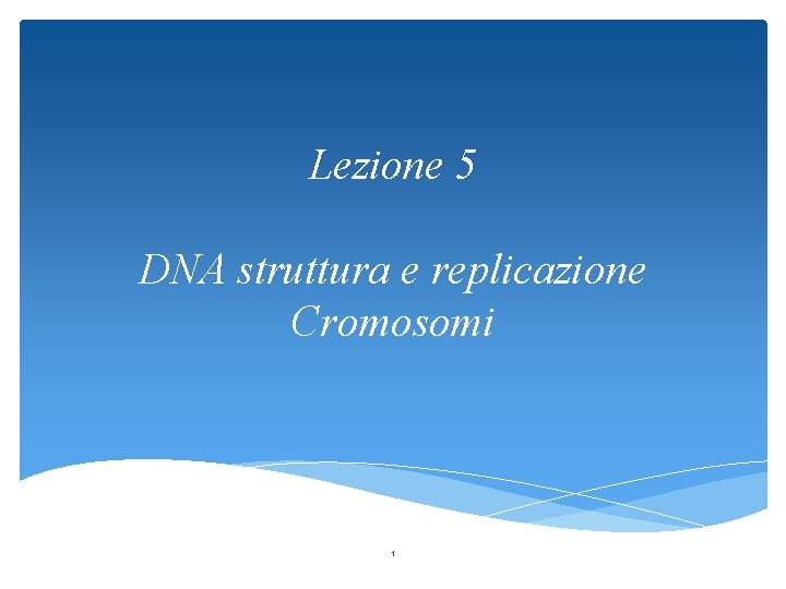 Lezione 5 DNA struttura e replicazione Cromosomi 1 