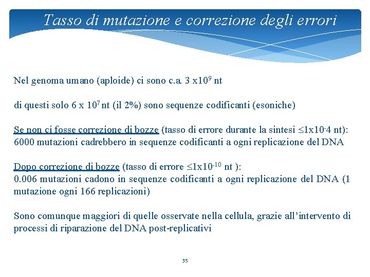 Tasso di mutazione e correzione degli errori Nel genoma umano (aploide) ci sono c.