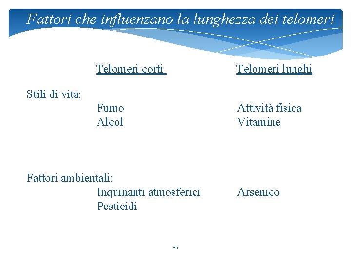 Fattori che influenzano la lunghezza dei telomeri Telomeri corti Telomeri lunghi Fumo Alcol Attività