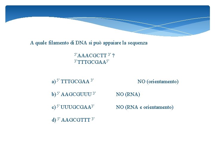 A quale filamento di DNA si può appaiare la sequenza 5’AAACGCTT 3’ ? 3’TTTGCGAA