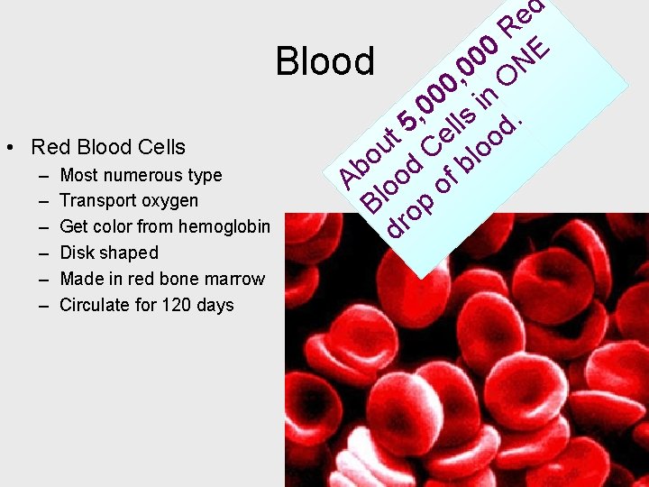  • d e R 0 E 0 Blood 0 ON , 0 n