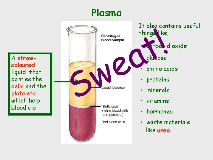 Plasma ! t a It also contains useful things like; A strawcoloured liquid that