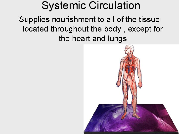 Systemic Circulation Supplies nourishment to all of the tissue located throughout the body ,