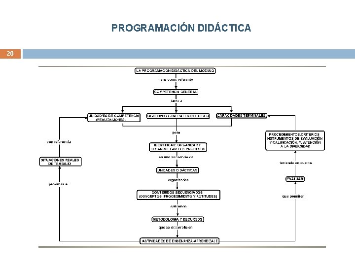 PROGRAMACIÓN DIDÁCTICA 20 