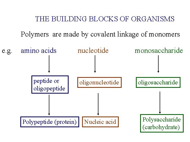 THE BUILDING BLOCKS OF ORGANISMS Polymers are made by covalent linkage of monomers e.