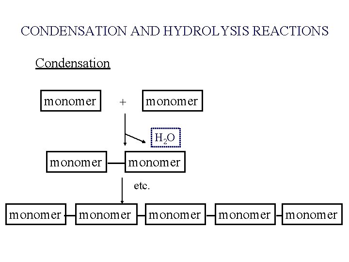 CONDENSATION AND HYDROLYSIS REACTIONS Condensation monomer + H 2 O monomer etc. monomer monomer