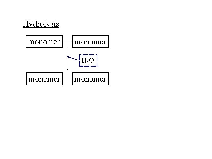 Hydrolysis monomer H 2 O monomer 