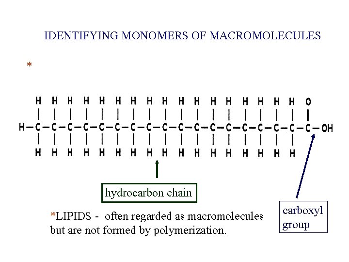IDENTIFYING MONOMERS OF MACROMOLECULES * hydrocarbon chain *LIPIDS - often regarded as macromolecules but