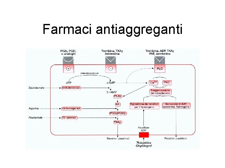 Farmaci antiaggreganti 