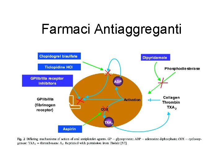 Farmaci Antiaggreganti 