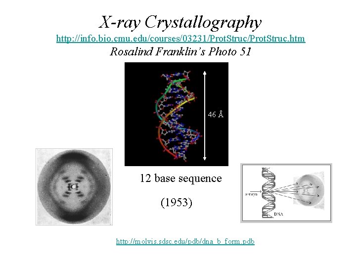 X-ray Crystallography http: //info. bio. cmu. edu/courses/03231/Prot. Struc. htm Rosalind Franklin’s Photo 51 46