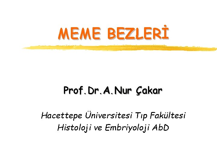 MEME BEZLERİ Prof. Dr. A. Nur Çakar Hacettepe Üniversitesi Tıp Fakültesi Histoloji ve Embriyoloji