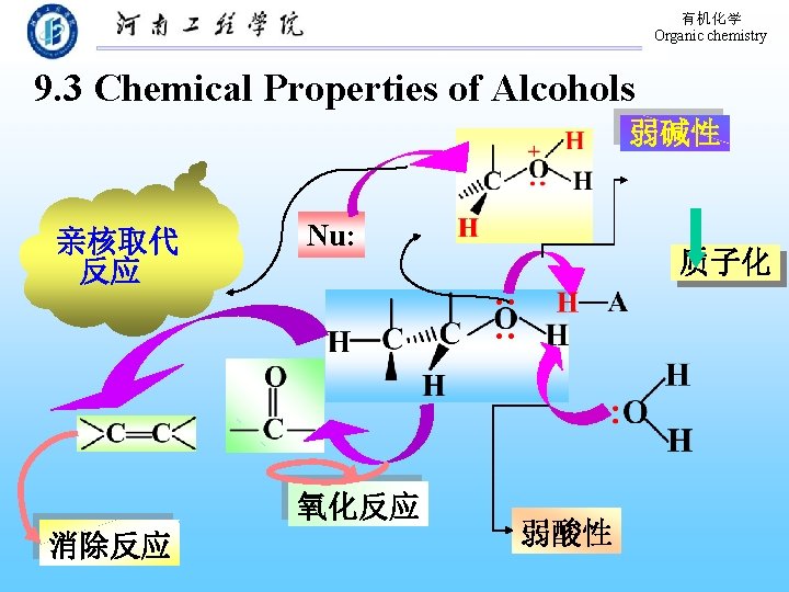 有机化学 Organic chemistry 9. 3 Chemical Properties of Alcohols 弱碱性 亲核取代 反应 Nu: 氧化反应