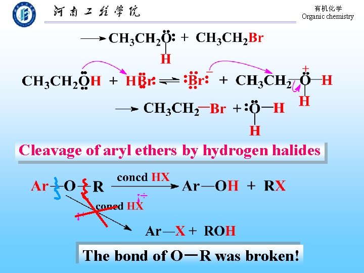 有机化学 Organic chemistry Cleavage of aryl ethers by hydrogen halides The bond of O－R