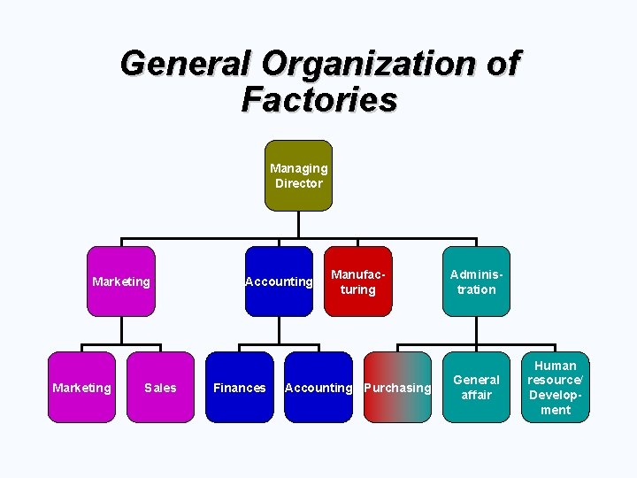 General Organization of Factories Managing Director Marketing Sales Accounting Finances Manufacturing Accounting Purchasing Administration