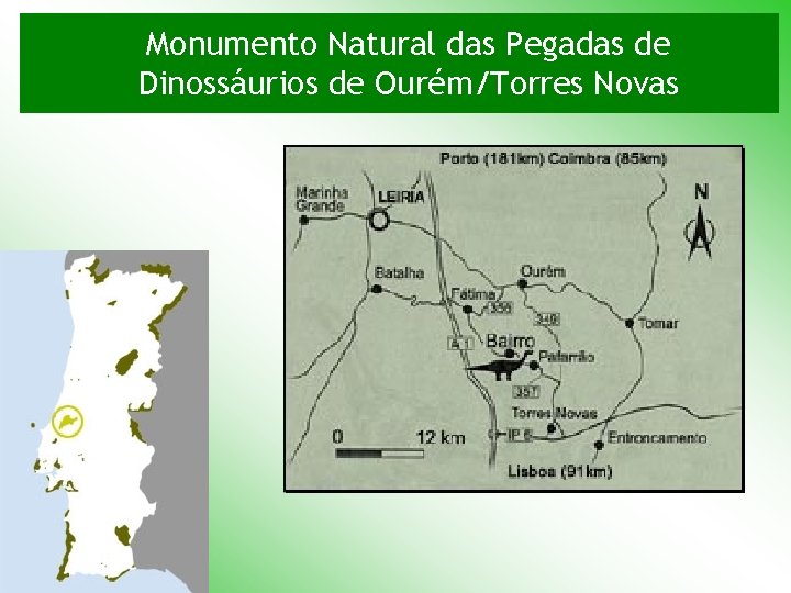 Monumento Natural das Pegadas de Dinossáurios de Ourém/Torres Novas 